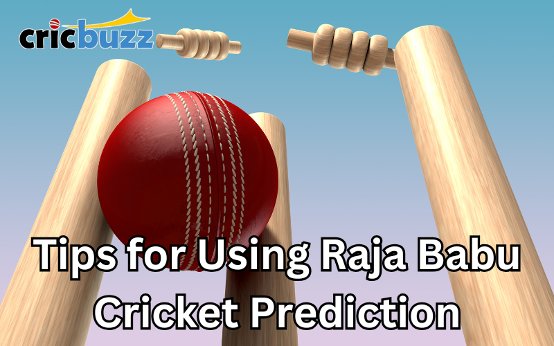 Raja Babu Cricket Prediction
