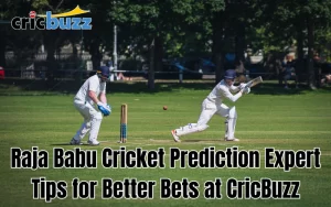 Raja Babu Cricket Prediction