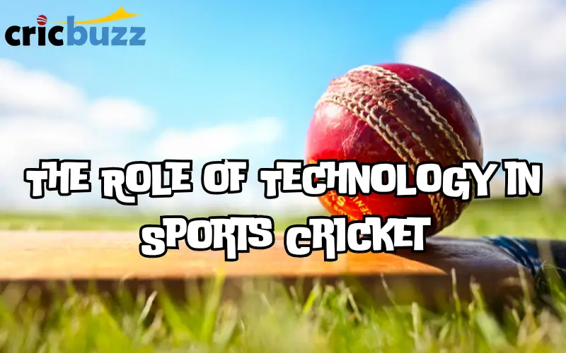 sports cricket