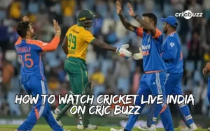 Cricket Live India