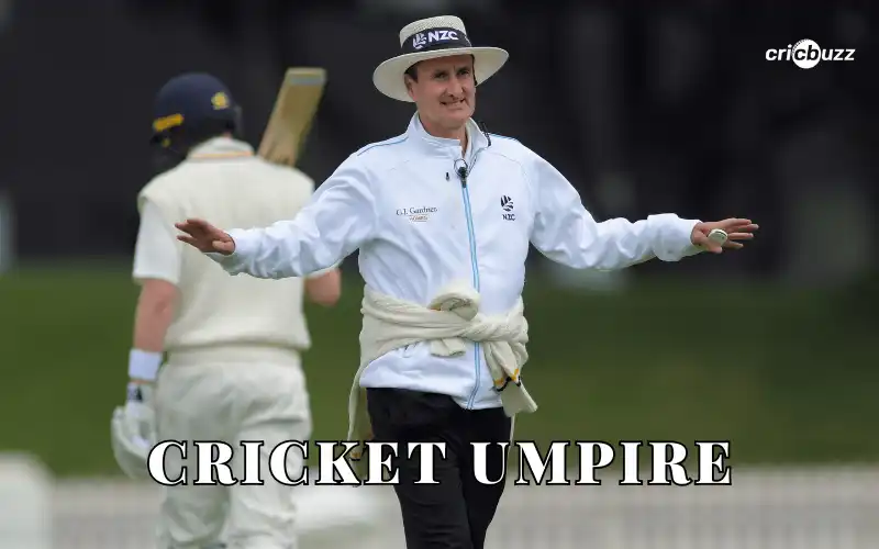 cricket umpire