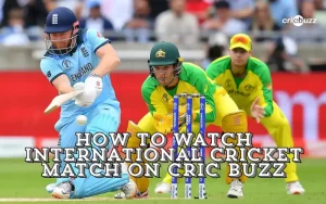 international cricket match