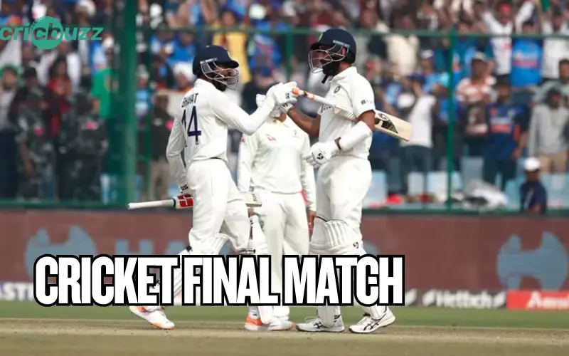 cricket final match