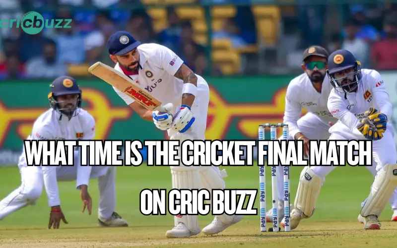 cricket final match
